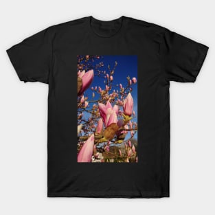 Magnolia blossom T-Shirt